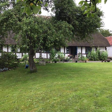 Filippavej 80 Bed & Breakfast Vester-Skerninge Eksteriør bilde