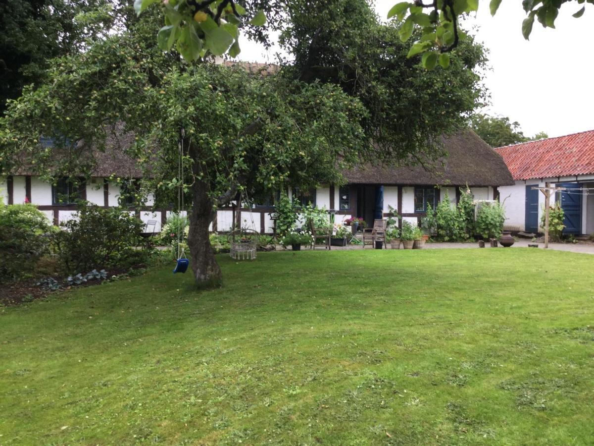 Filippavej 80 Bed & Breakfast Vester-Skerninge Eksteriør bilde